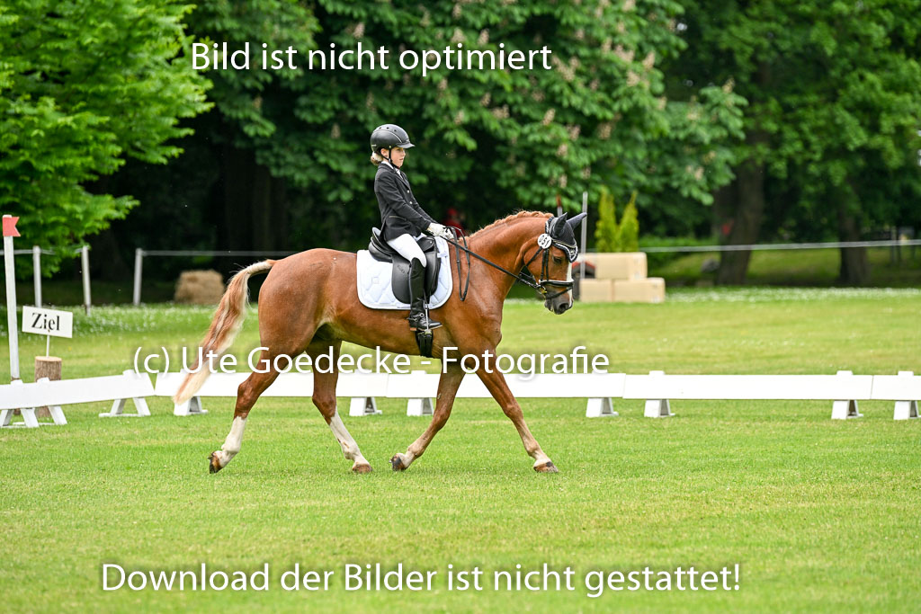  | 30052025 Dressur  (1338) 