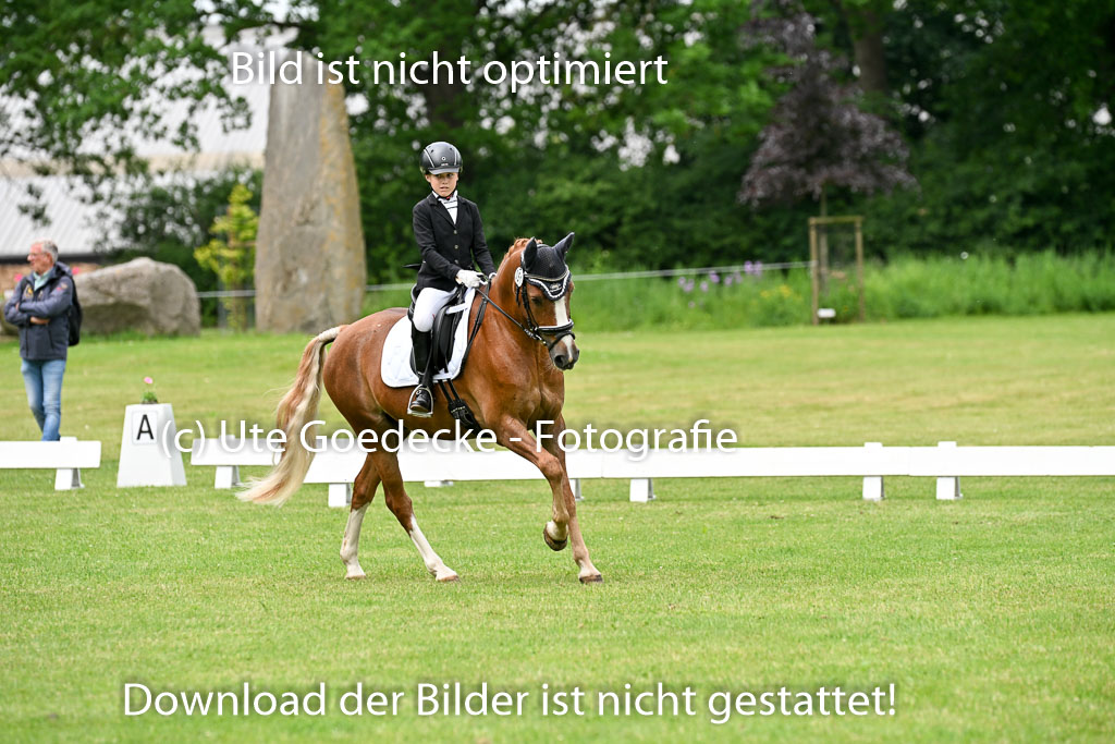  | 30052025 Dressur  (1339) 