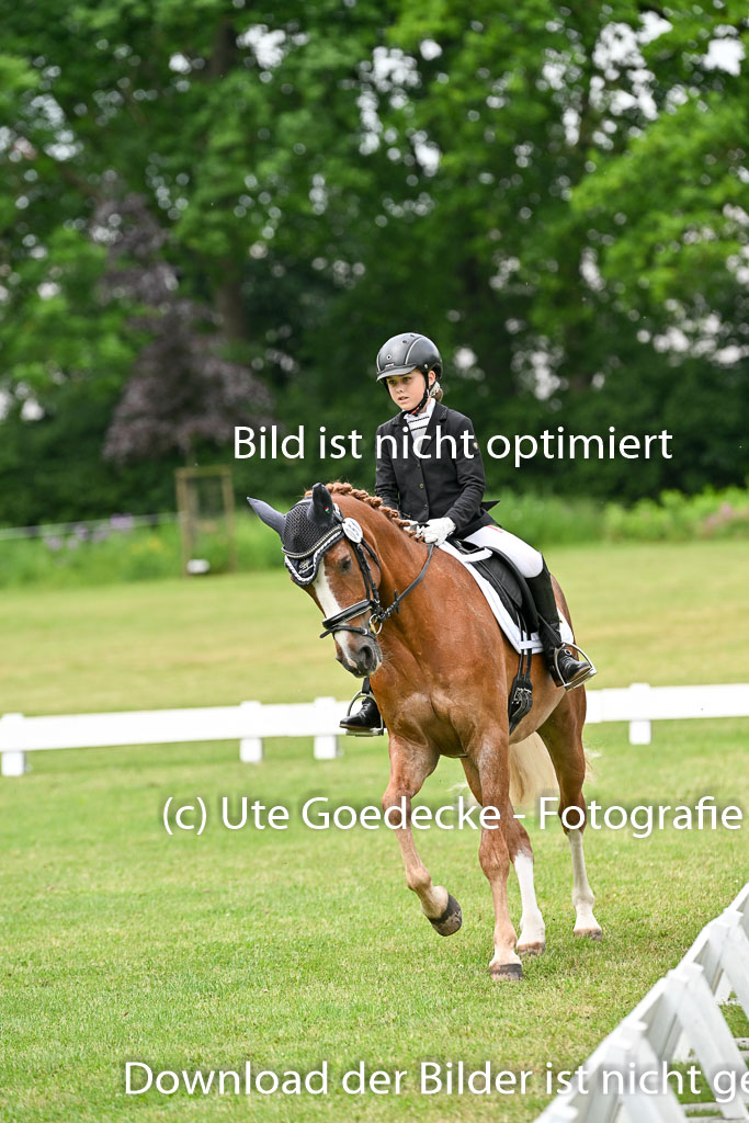  | 30052025 Dressur  (1340) 