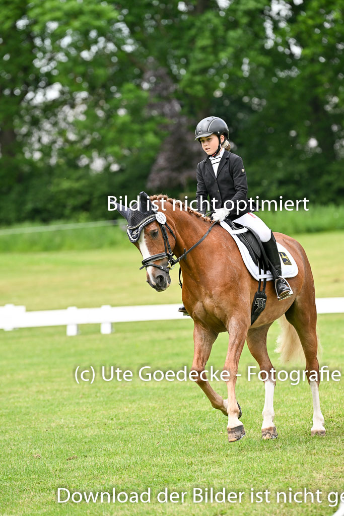  | 30052025 Dressur  (1341) 