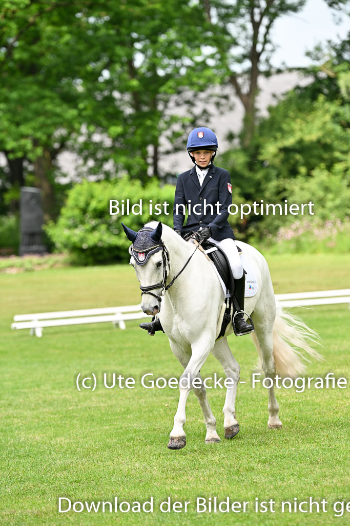  | 30052025 Dressur  (1342) 