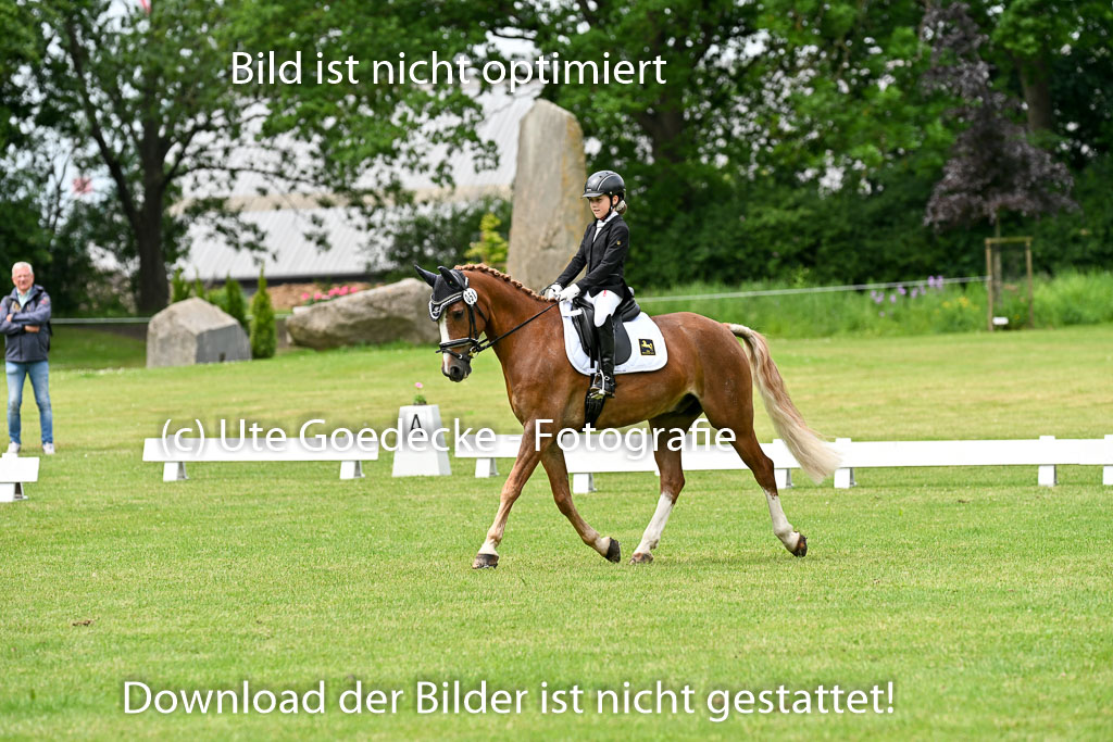  | 30052025 Dressur  (1348) 
