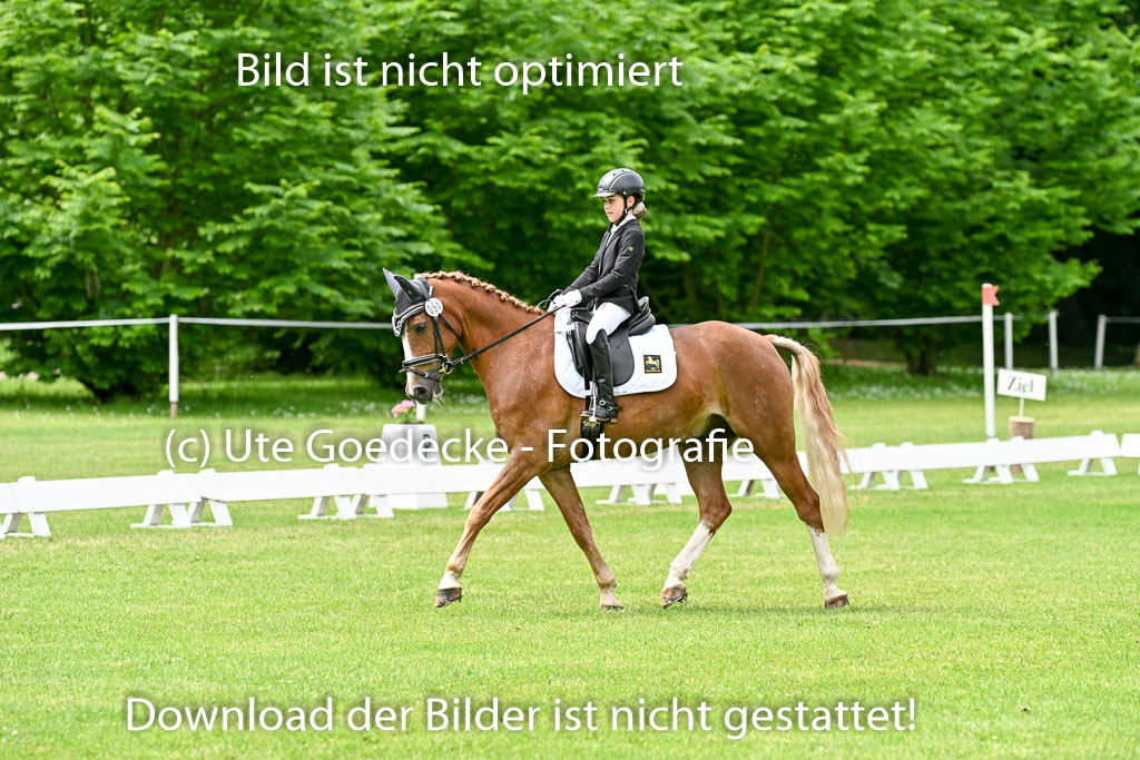  | 30052025 Dressur  (1349) 