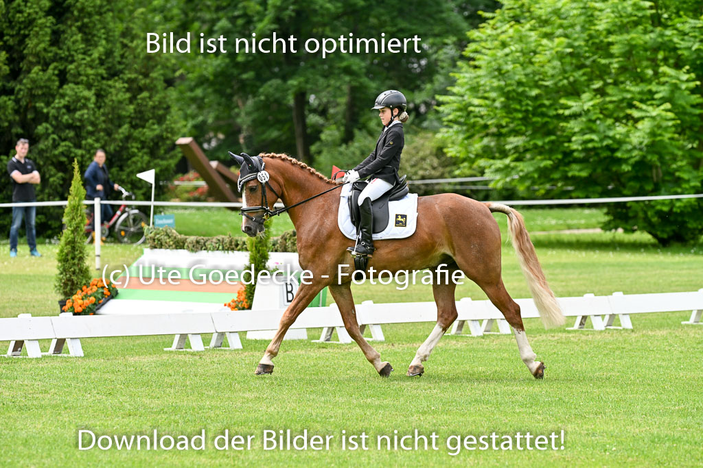  | 30052025 Dressur  (1350) 