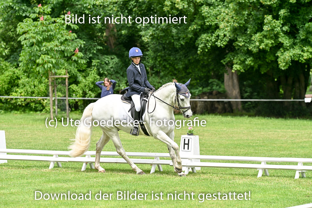  | 30052025 Dressur  (1355) 