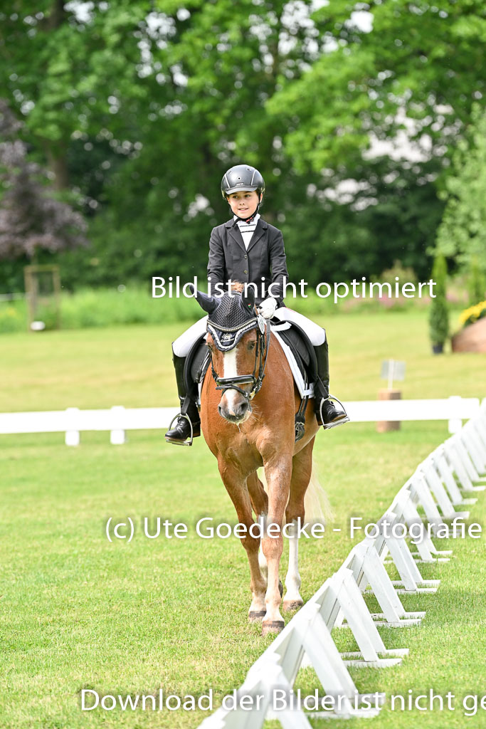  | 30052025 Dressur  (1356) 