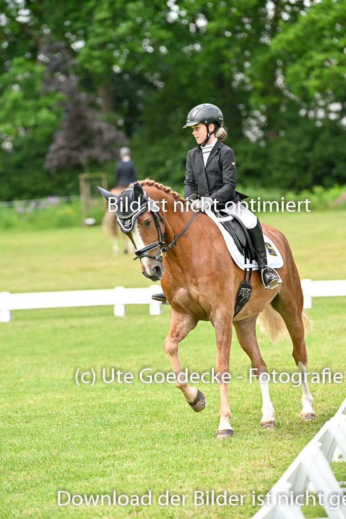  | 30052025 Dressur  (1359) 