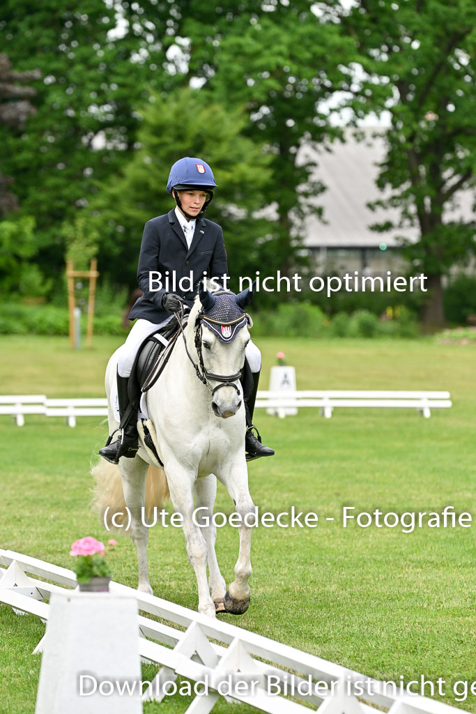  | 30052025 Dressur  (1361) 