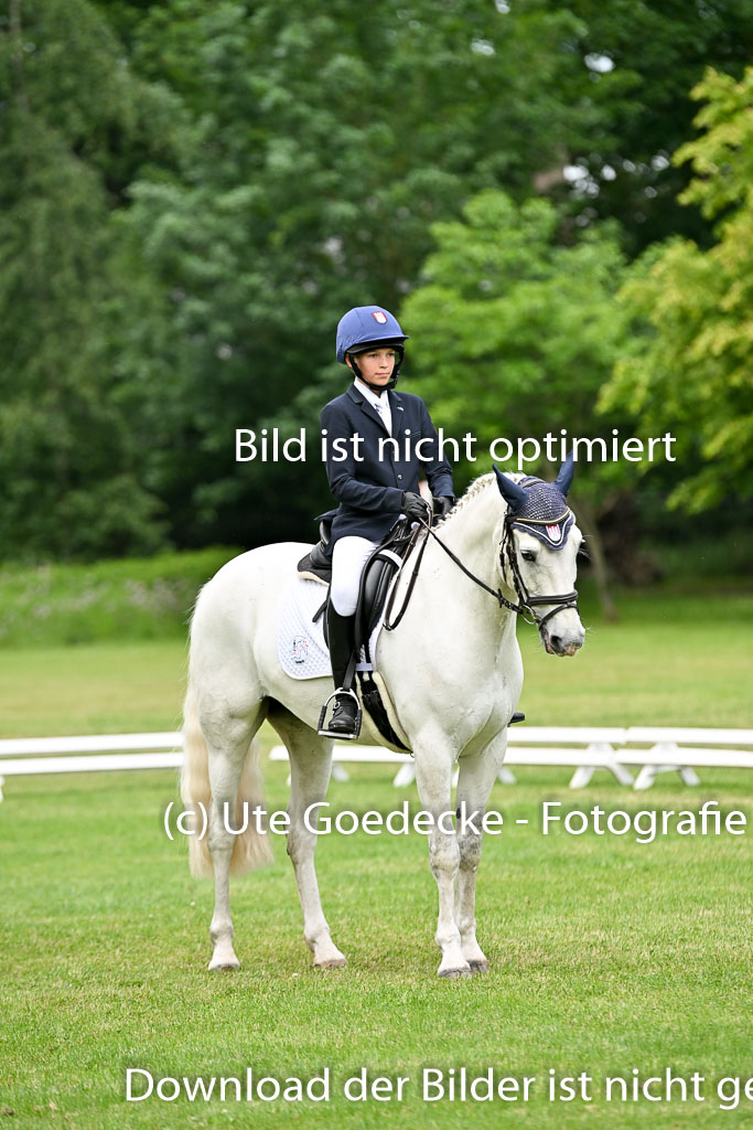  | 30052025 Dressur  (1363) 