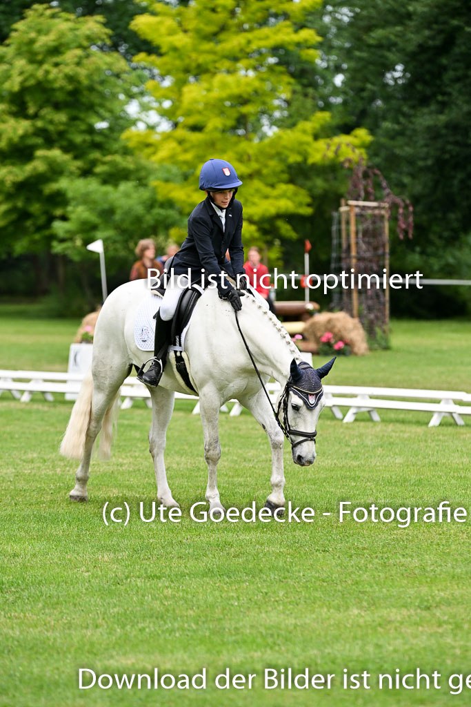  | 30052025 Dressur  (1364) 