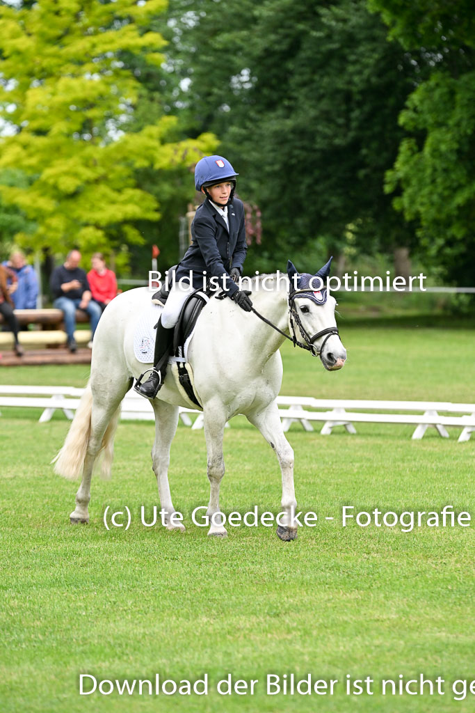  | 30052025 Dressur  (1365) 