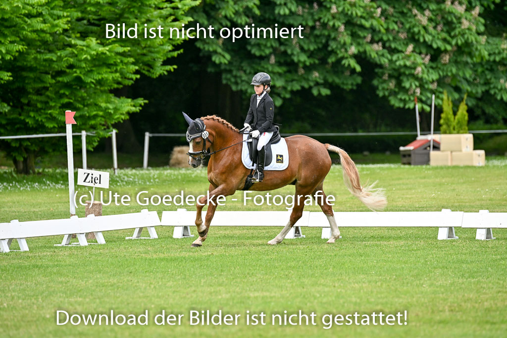  | 30052025 Dressur  (1368) 