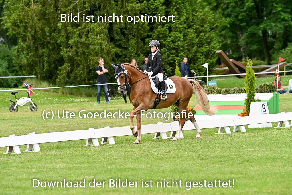  | 30052025 Dressur  (1369) 