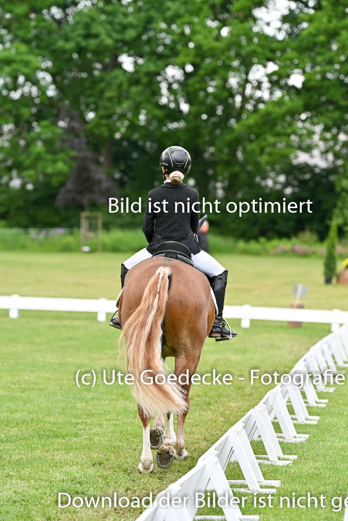  | 30052025 Dressur  (1372) 