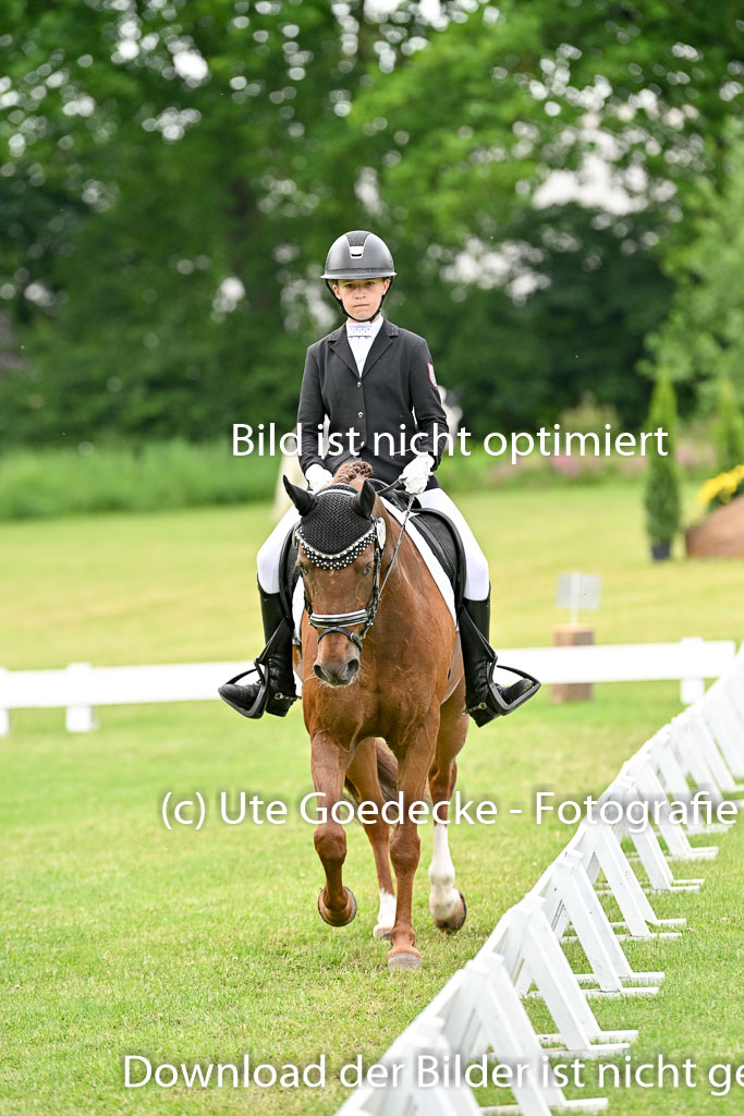  | 30052025 Dressur  (1379) 