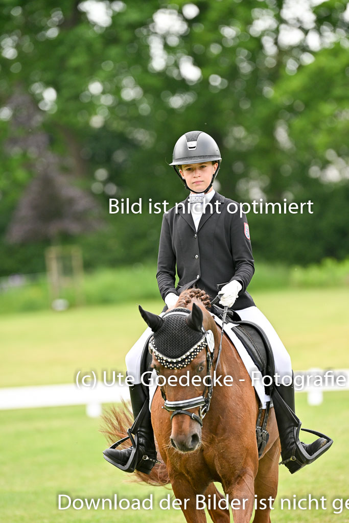  | 30052025 Dressur  (1380) 