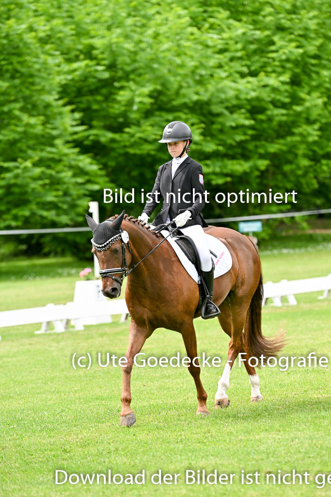  | 30052025 Dressur  (1385) 