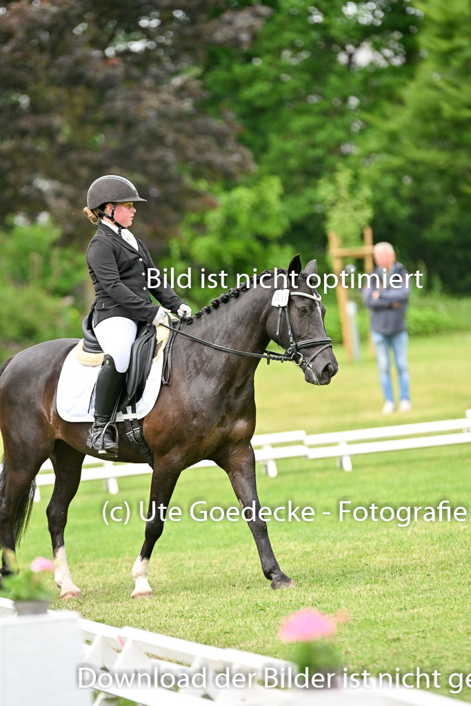  | 30052025 Dressur  (1386) 