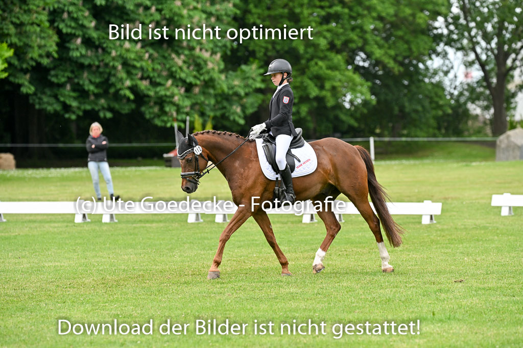  | 30052025 Dressur  (1387) 