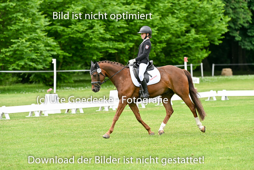  | 30052025 Dressur  (1388) 