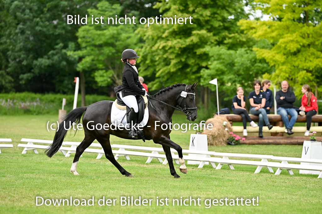  | 30052025 Dressur  (1391) 