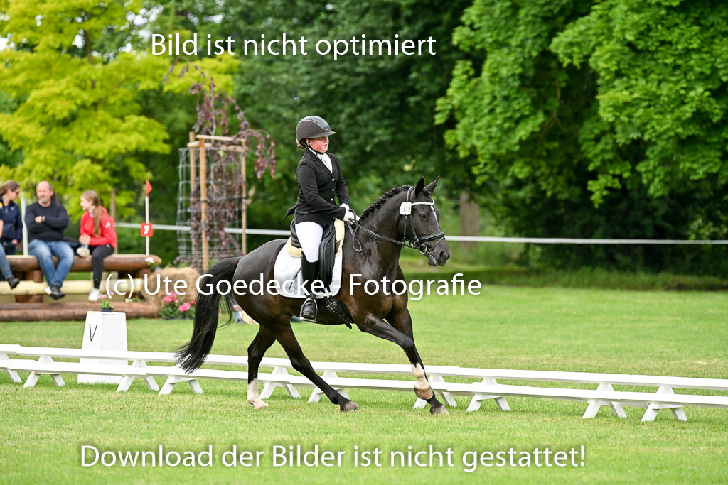  | 30052025 Dressur  (1393) 