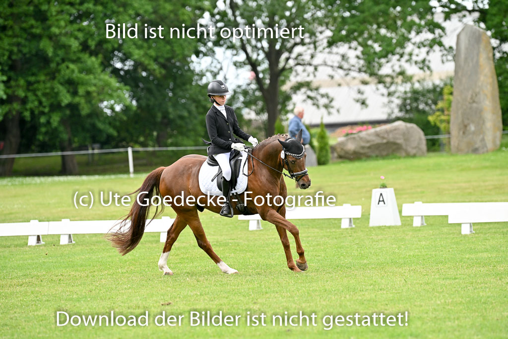  | 30052025 Dressur  (1396) 