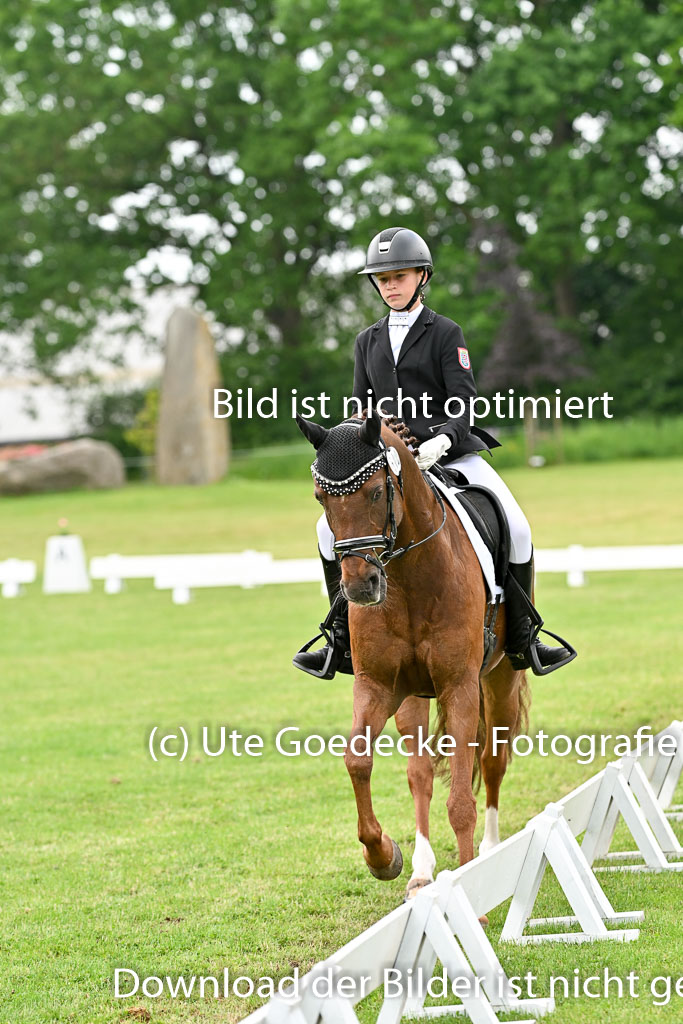  | 30052025 Dressur  (1397) 