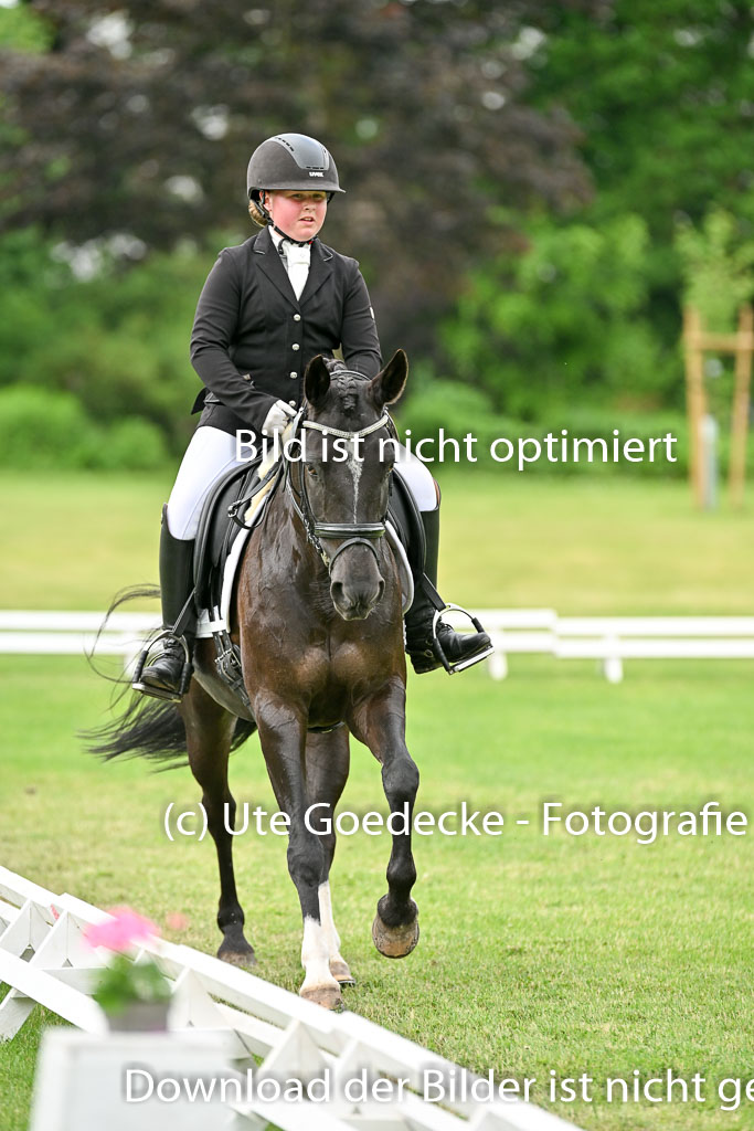  | 30052025 Dressur  (1398) 