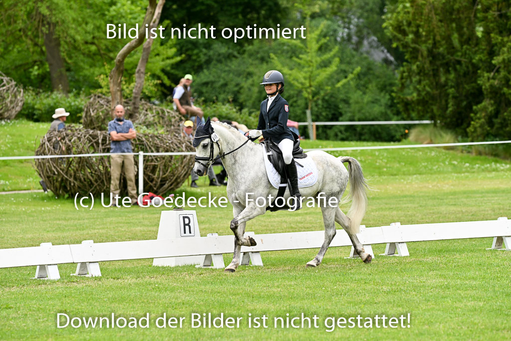  | 30052025 Dressur  (1501) 