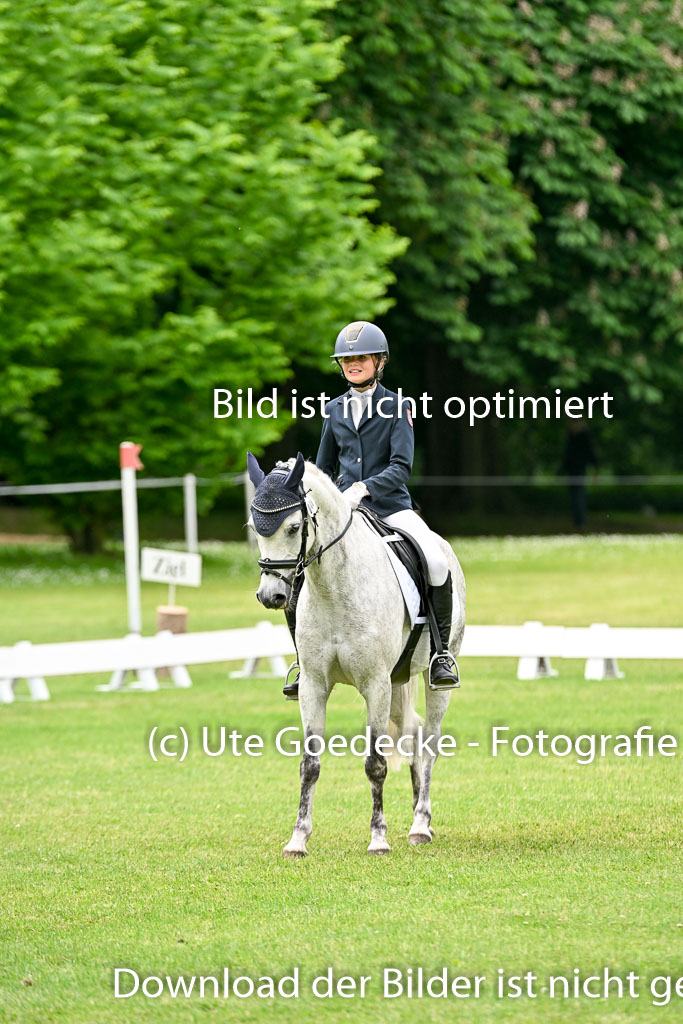  | 30052025 Dressur  (1502) 