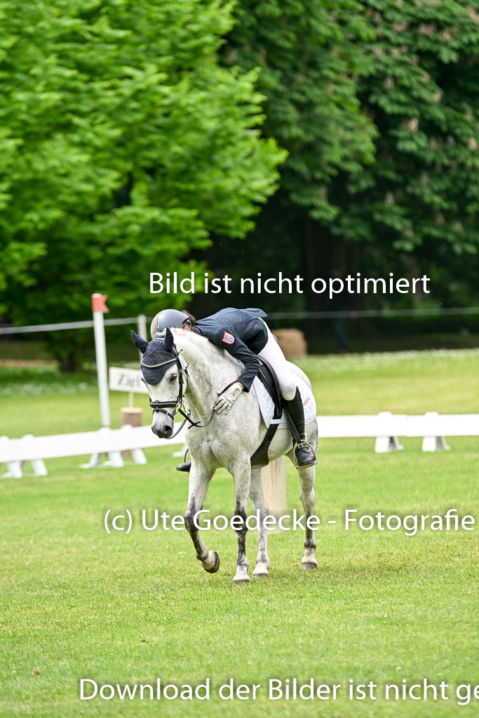  | 30052025 Dressur  (1503) 