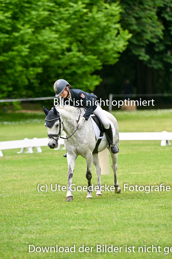  | 30052025 Dressur  (1504) 