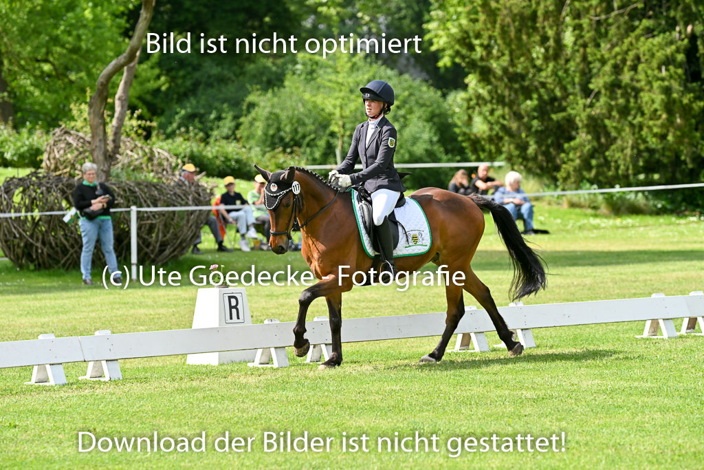  | 30052025 Dressur  (999) 