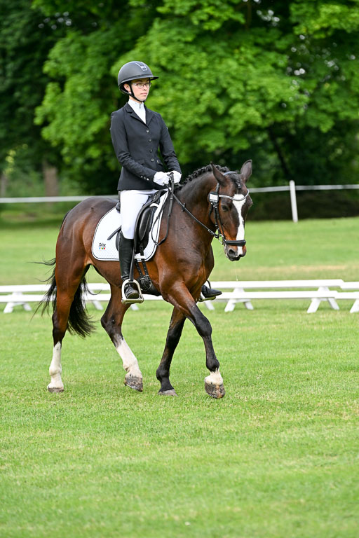  | 30052025 Dressur  (1009) 