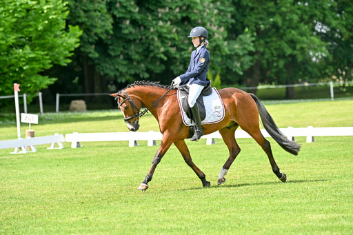  | 30052025 Dressur  (1015) 