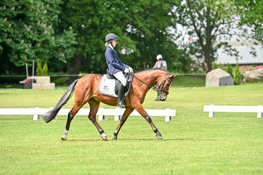  | 30052025 Dressur  (1019) 