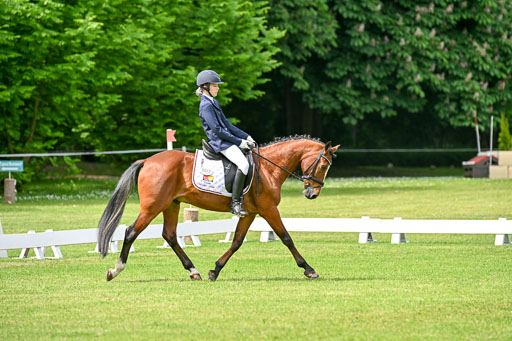  | 30052025 Dressur  (1024) 