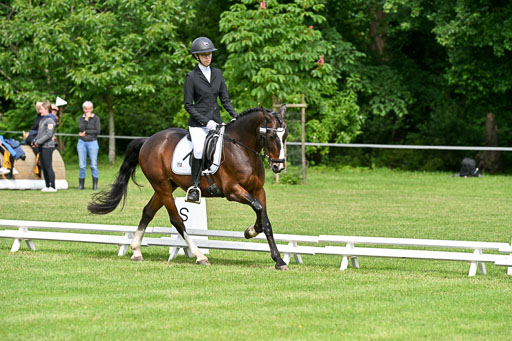  | 30052025 Dressur  (1026) 