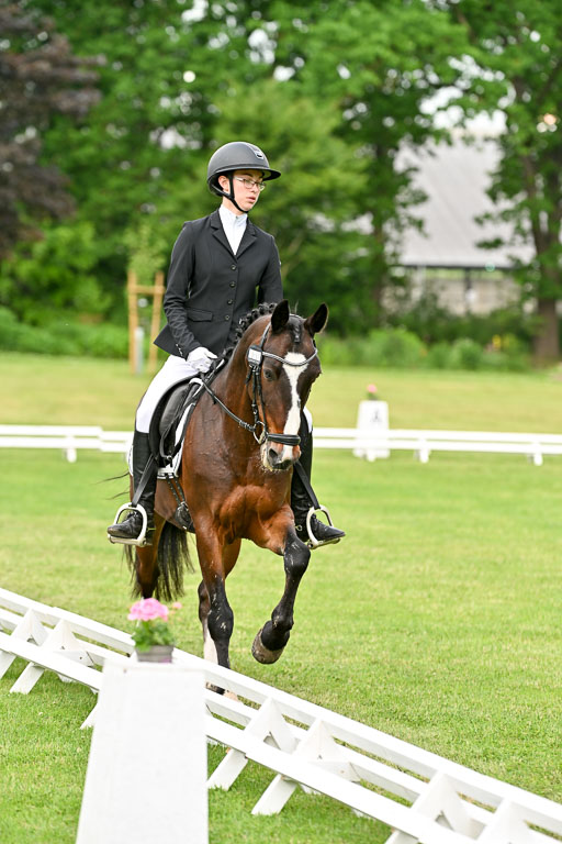  | 30052025 Dressur  (1031) 