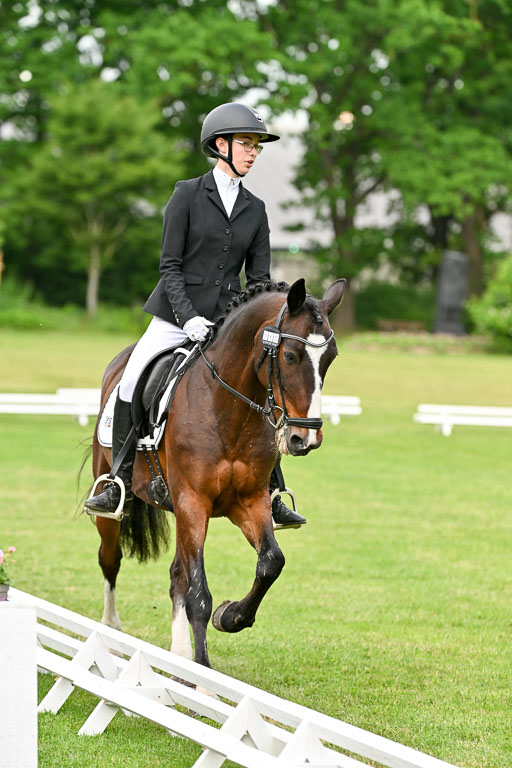  | 30052025 Dressur  (1032) 