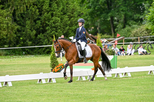  | 30052025 Dressur  (1034) 