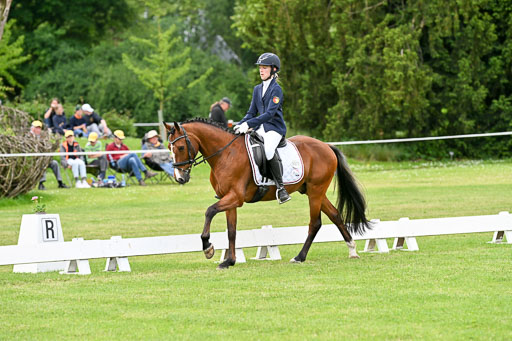  | 30052025 Dressur  (1035) 