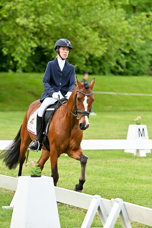  | 30052025 Dressur  (1036) 