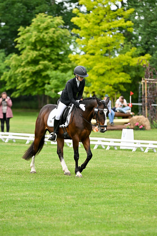  | 30052025 Dressur  (1037) 