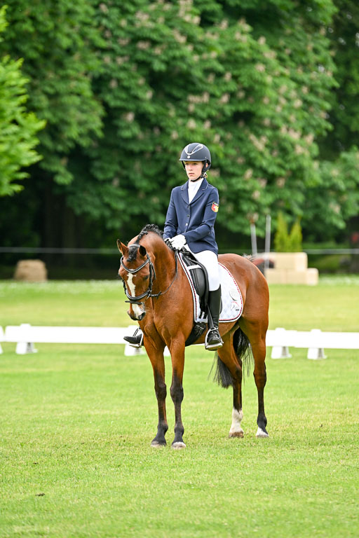  | 30052025 Dressur  (1039) 