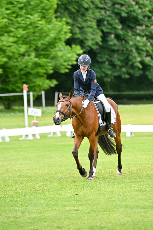  | 30052025 Dressur  (1041) 