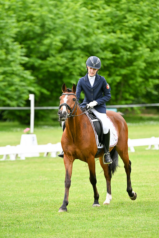  | 30052025 Dressur  (1042) 