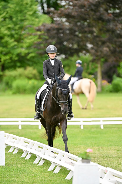  | 30052025 Dressur  (1043) 