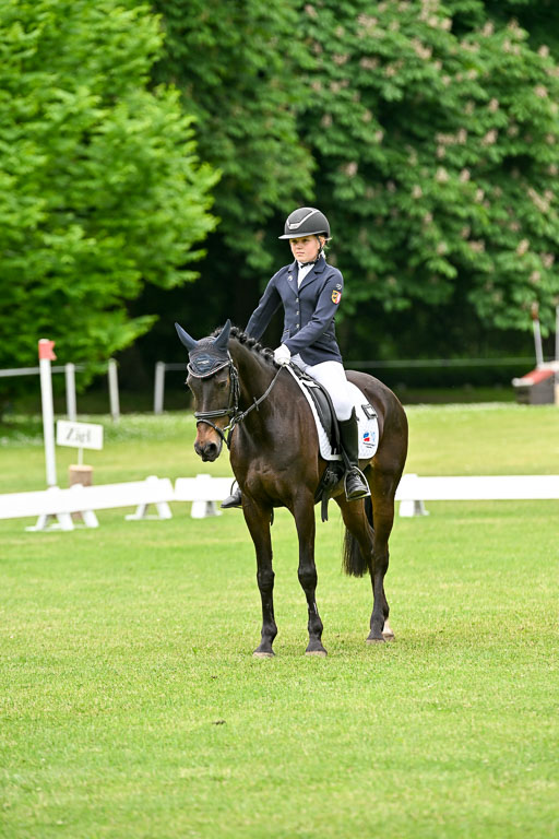  | 30052025 Dressur  (1046) 